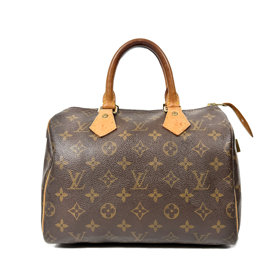 Louis Vuitton Speedy (25)