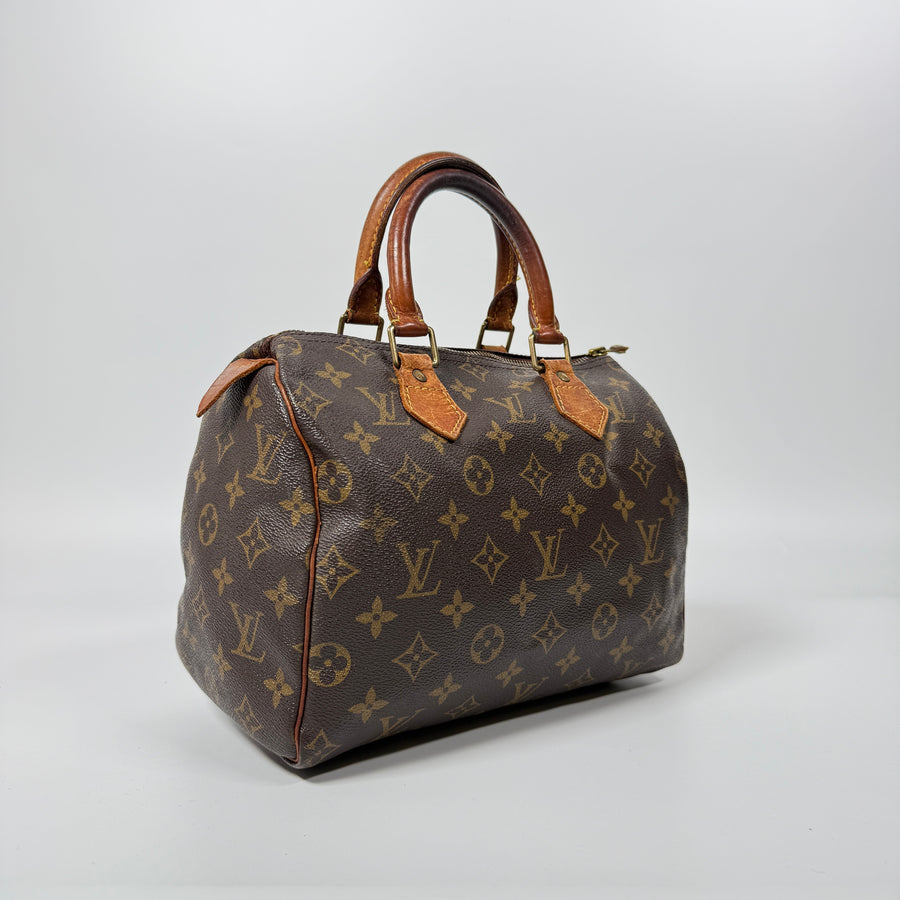 Louis Vuitton Speedy (25)