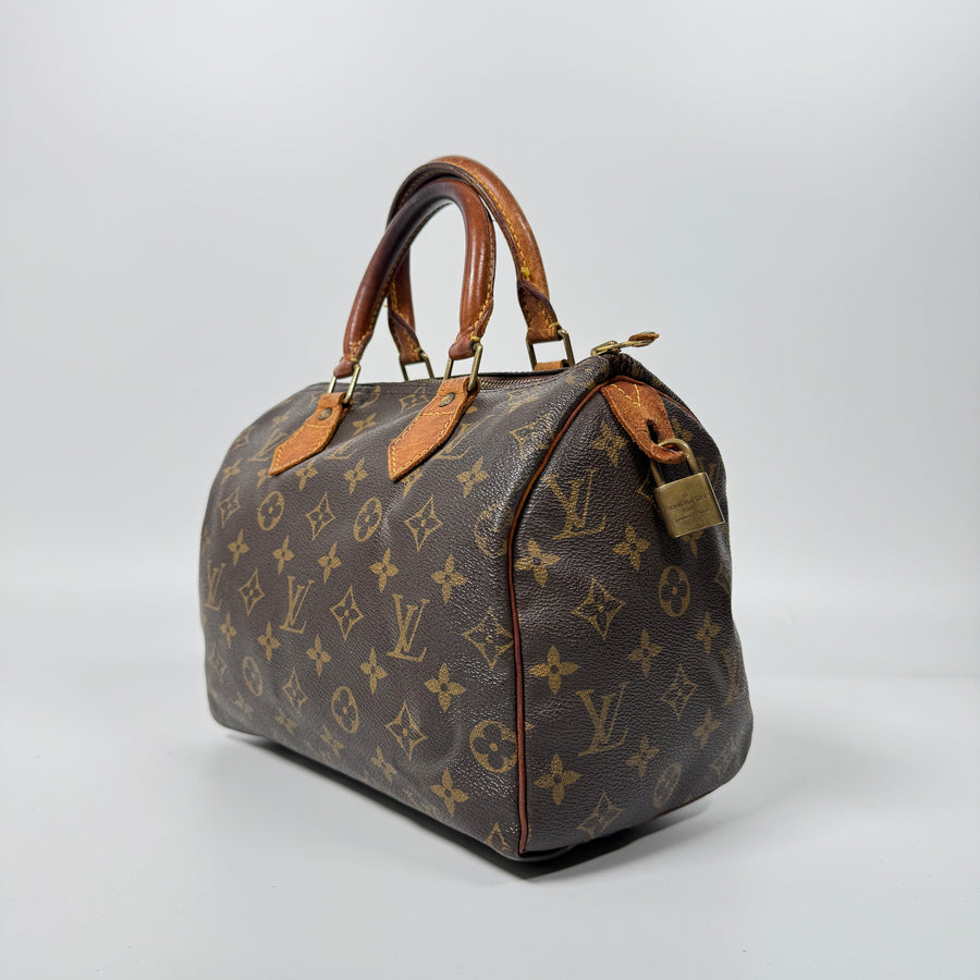 Louis Vuitton Speedy (25)