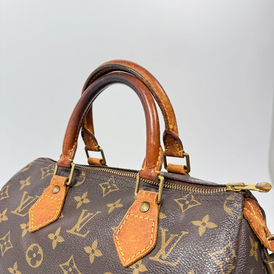Louis Vuitton Speedy (25)