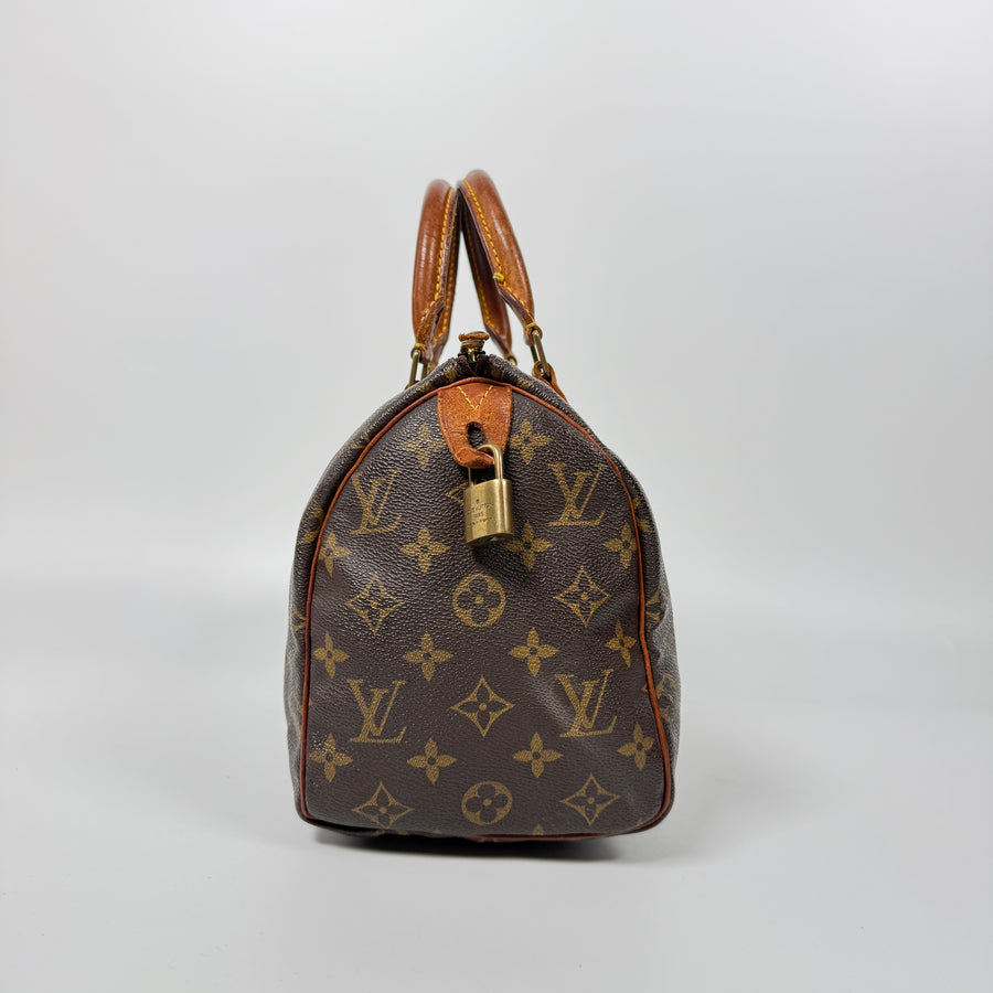 Louis Vuitton Speedy (25)