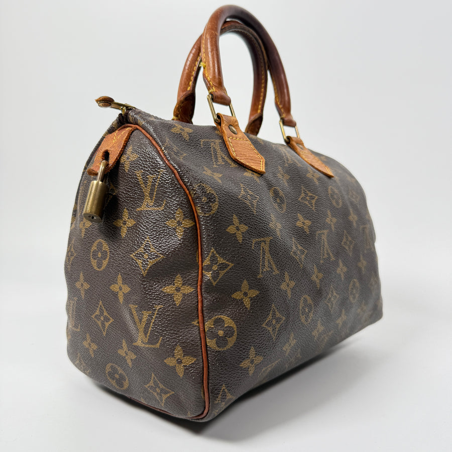 Louis Vuitton Speedy (25)