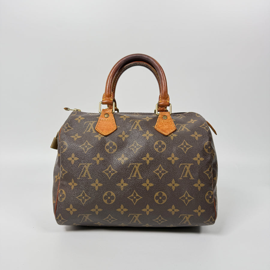 Louis Vuitton Speedy (25)