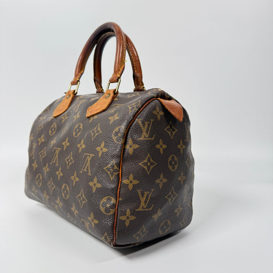 Louis Vuitton Speedy (25)