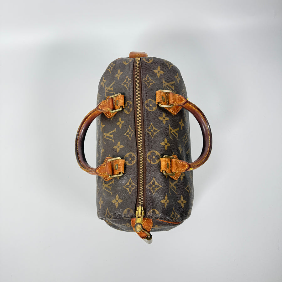 Louis Vuitton Speedy (25)