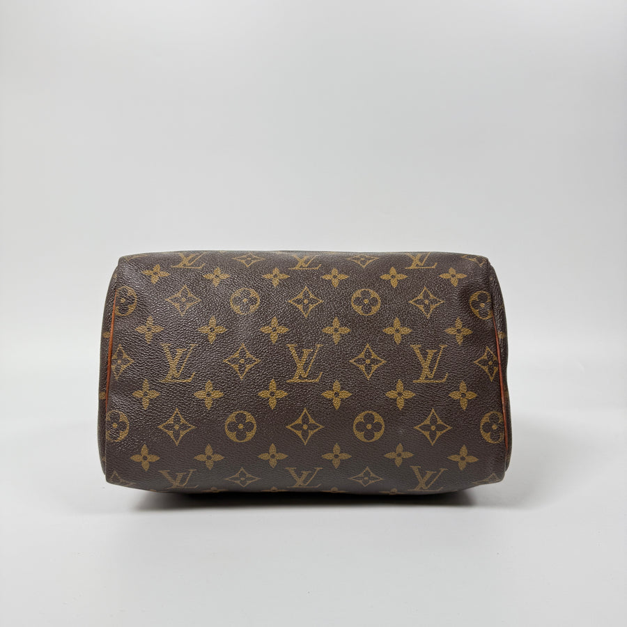 Louis Vuitton Speedy (25)