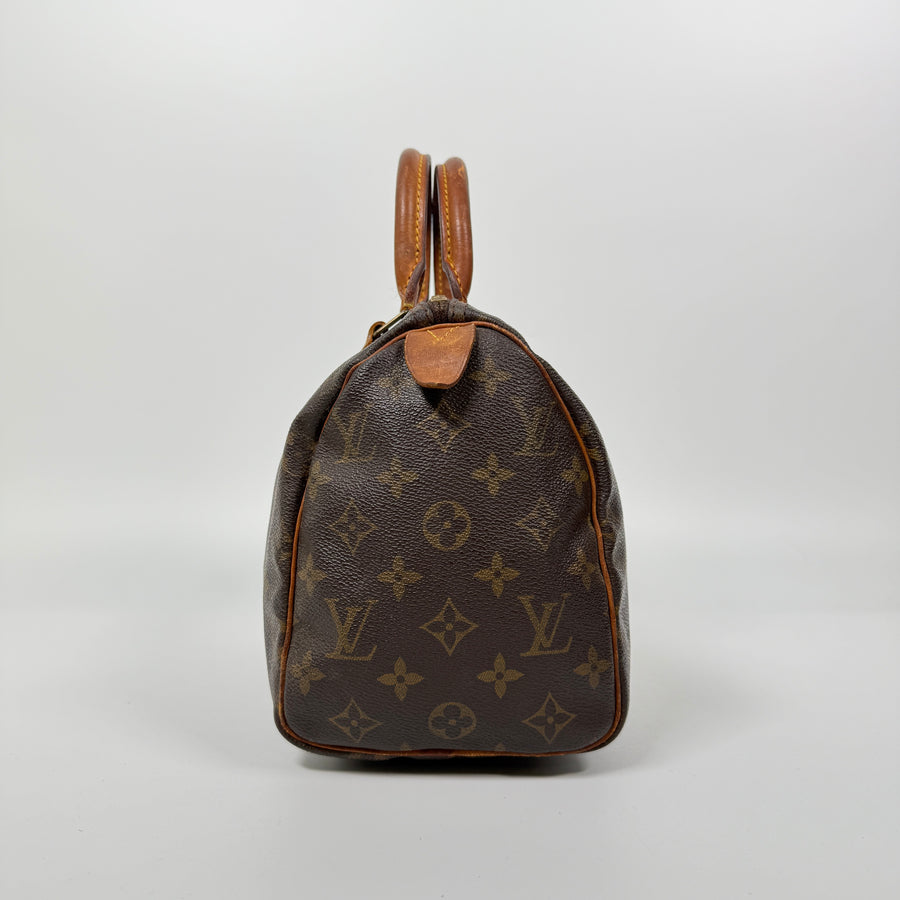 Louis Vuitton Speedy (25)