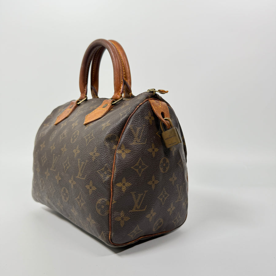 Louis Vuitton Speedy (25)