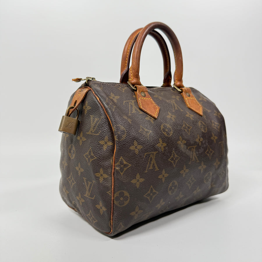 Louis Vuitton Speedy (25)