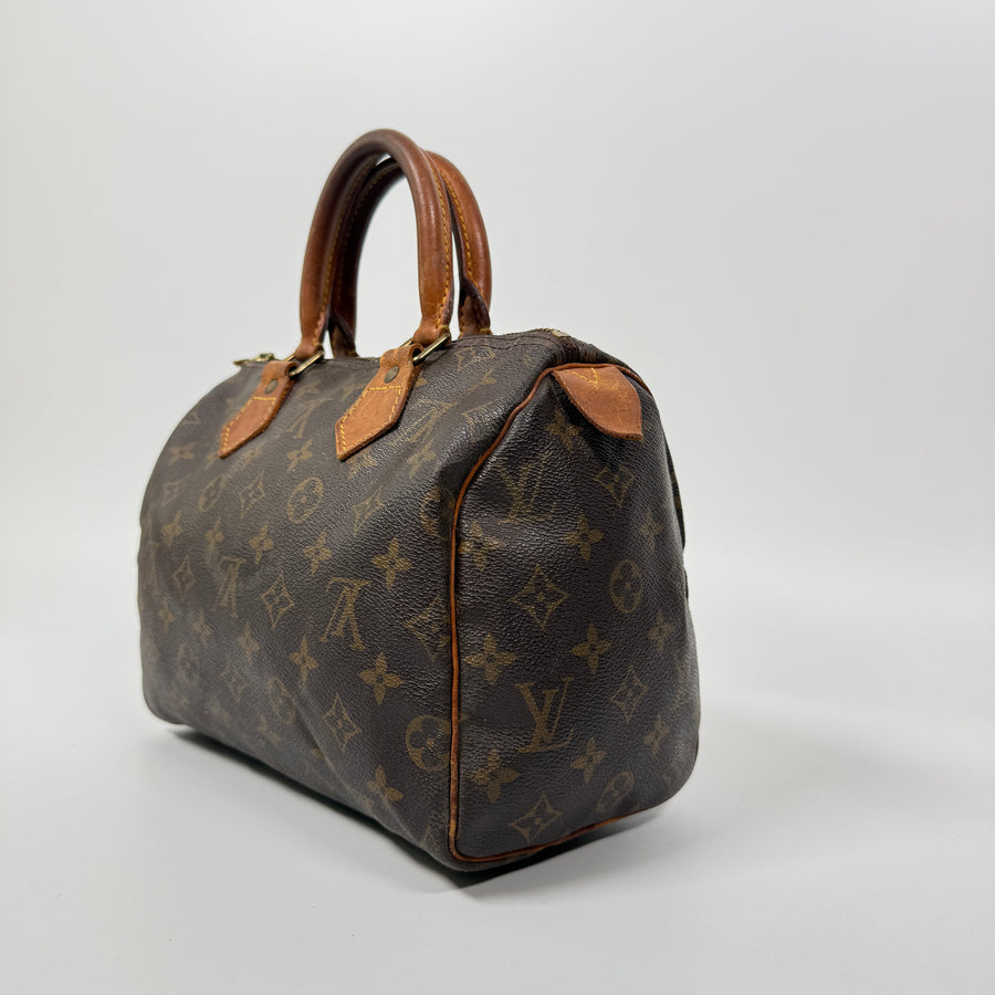 Louis Vuitton Speedy (25)