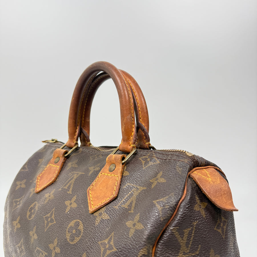 Louis Vuitton Speedy (25)