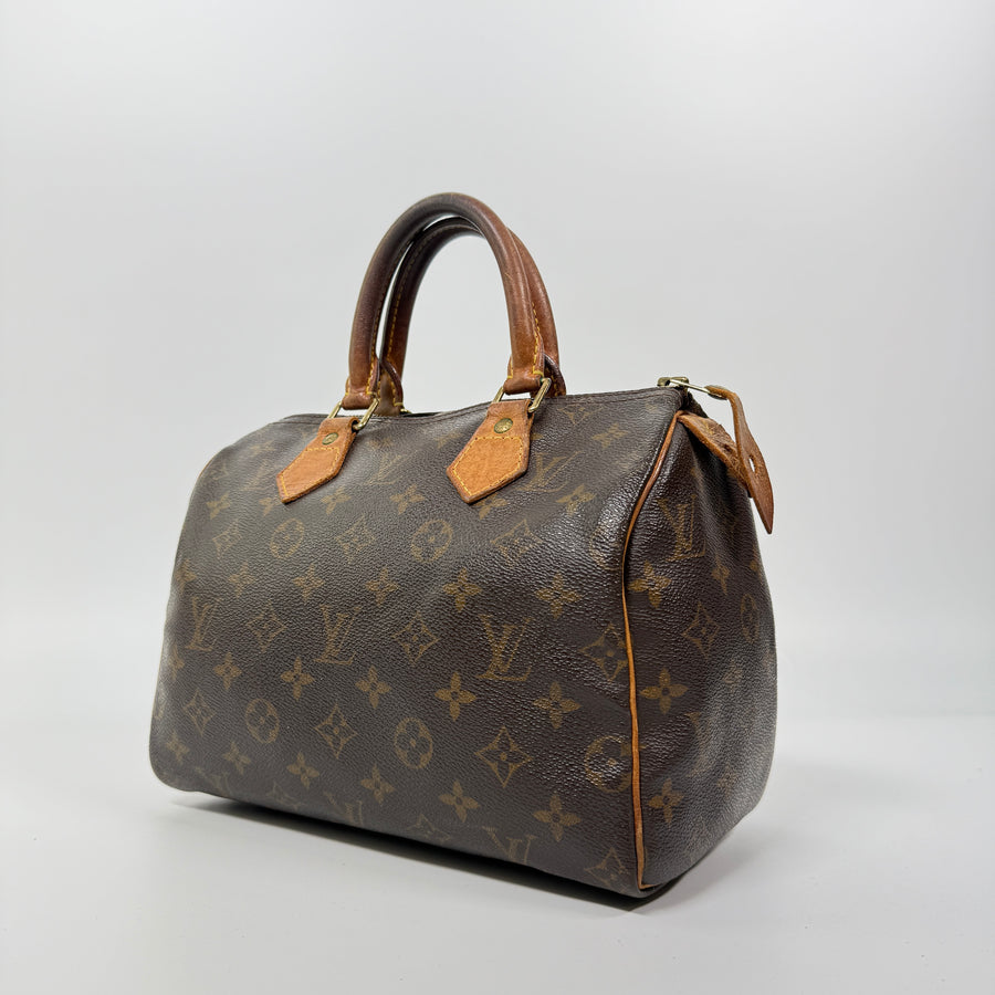 Louis Vuitton Speedy (25)