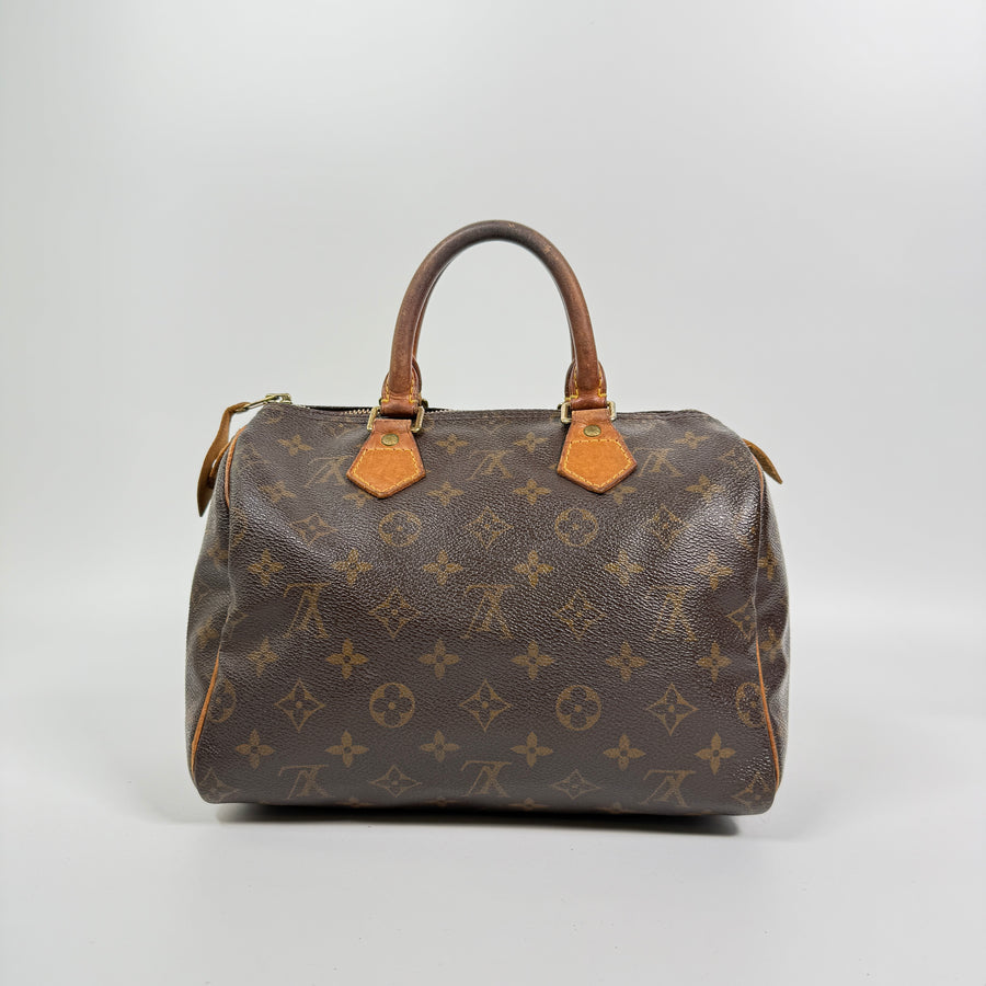 Louis Vuitton Speedy (25)