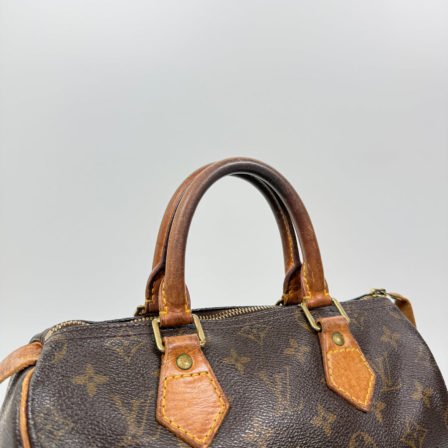 Louis Vuitton Speedy (25)