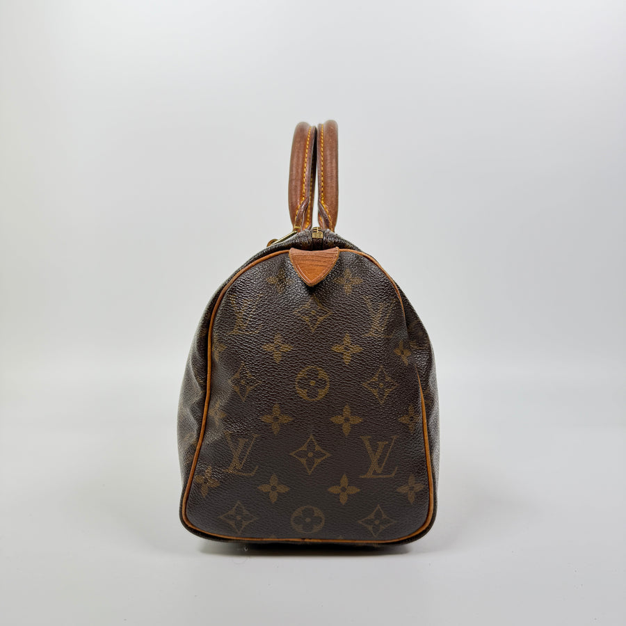 Louis Vuitton Speedy (25)