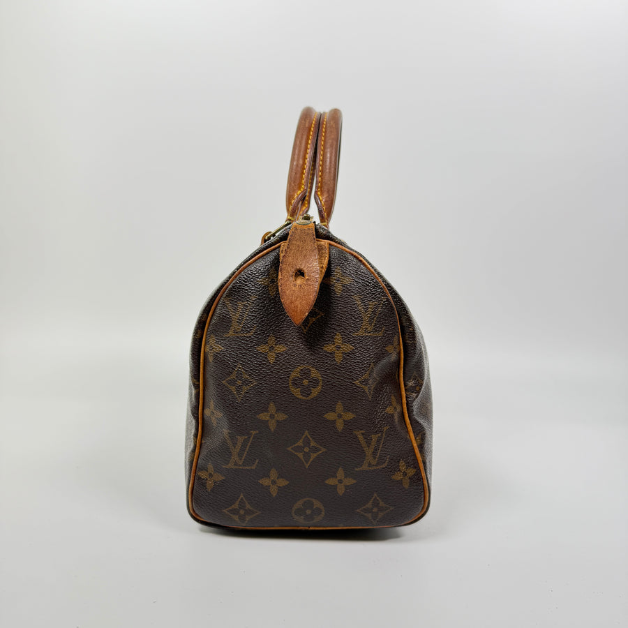 Louis Vuitton Speedy (25)
