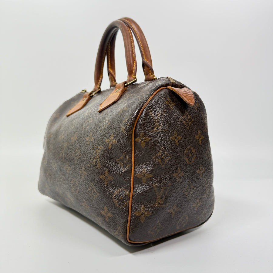 Louis Vuitton Speedy (25)
