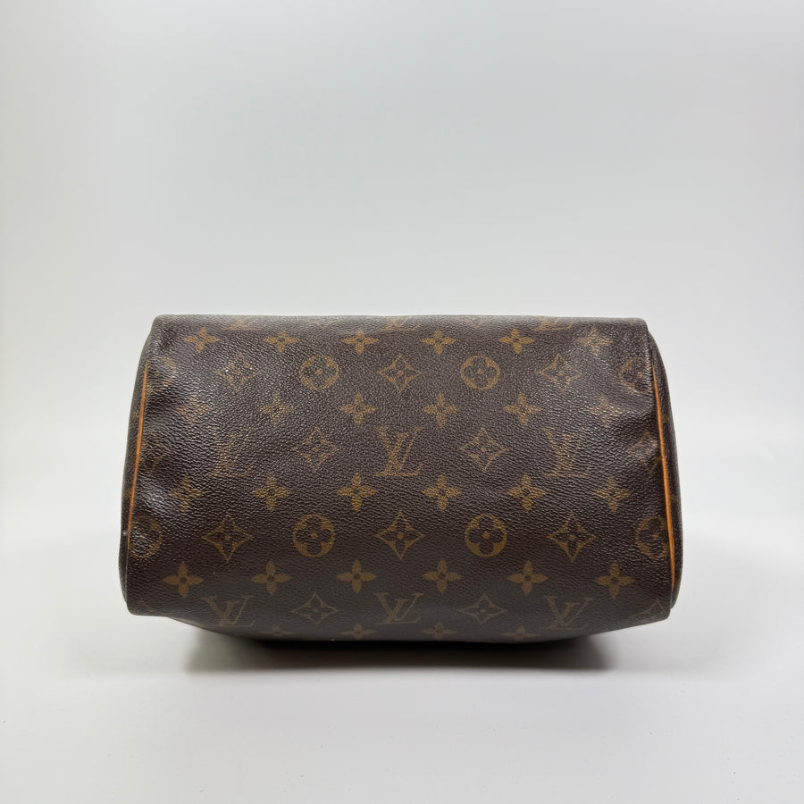 Louis Vuitton Speedy (25)