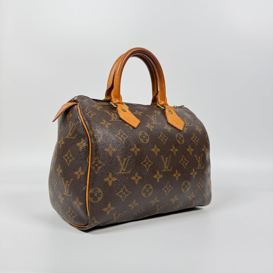 Louis Vuitton Speedy (25)