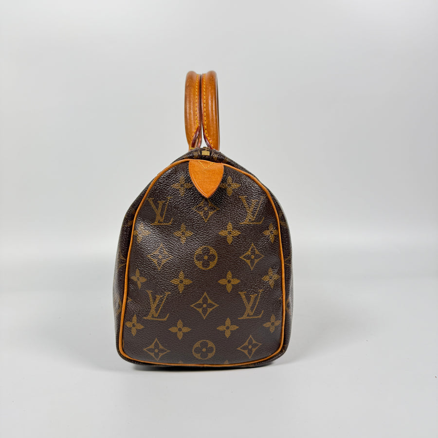 Louis Vuitton Speedy (25)
