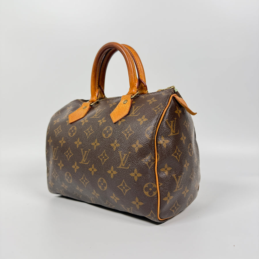 Louis Vuitton Speedy (25)