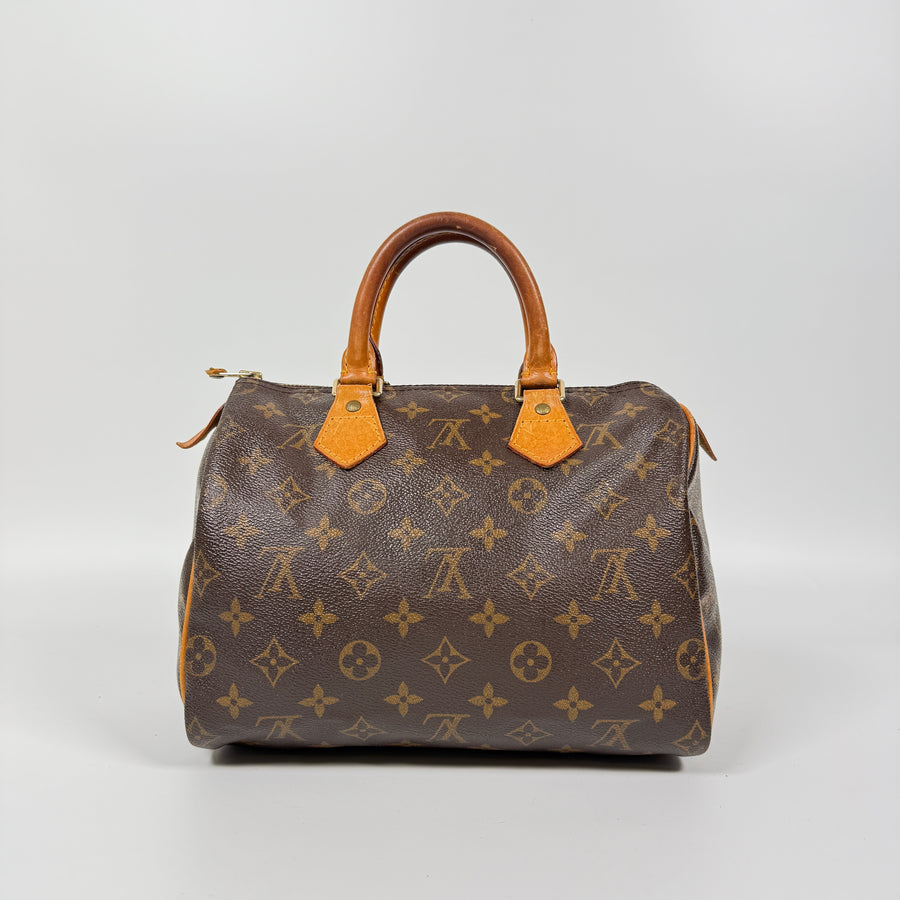 Louis Vuitton Speedy (25)