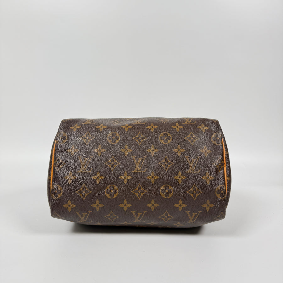 Louis Vuitton Speedy (25)