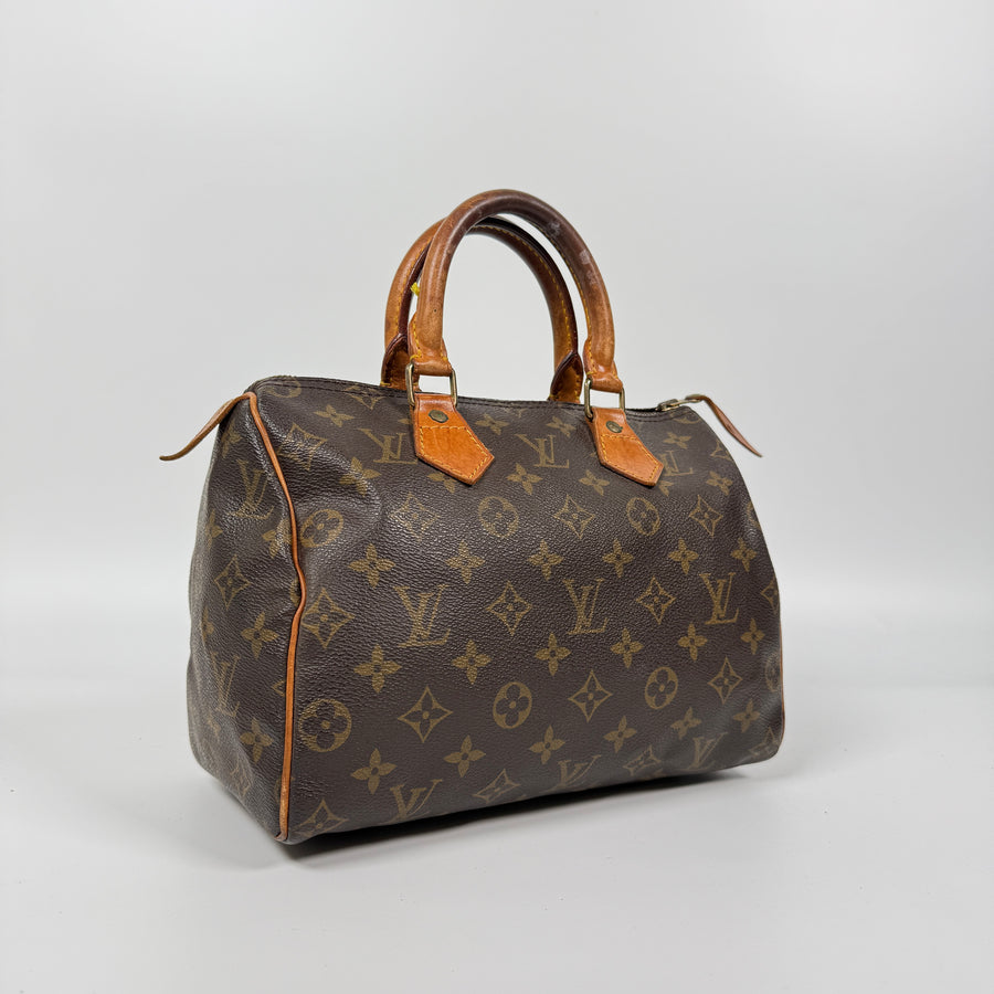 Louis Vuitton Speedy (25)