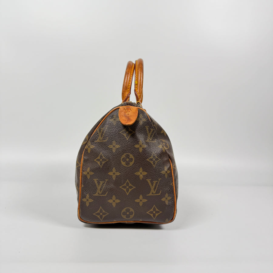 Louis Vuitton Speedy (25)
