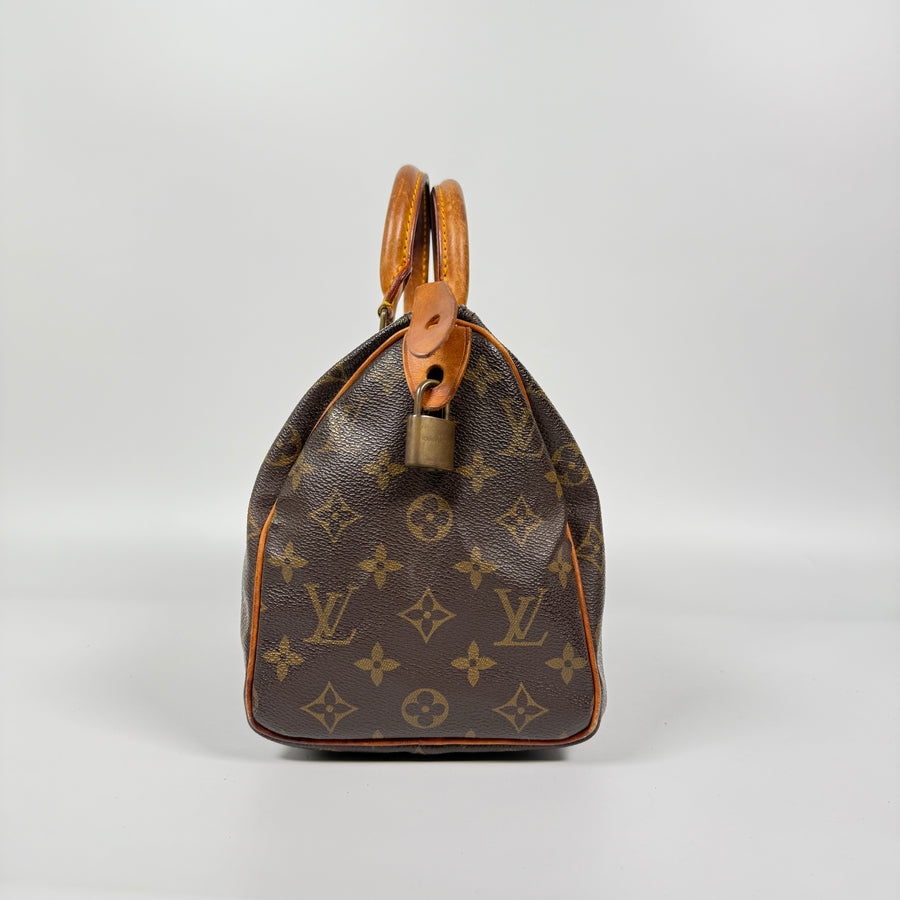 Louis Vuitton Speedy (25)