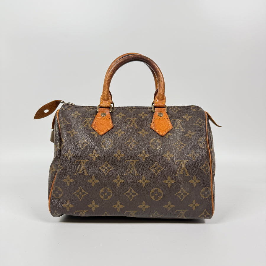 Louis Vuitton Speedy (25)