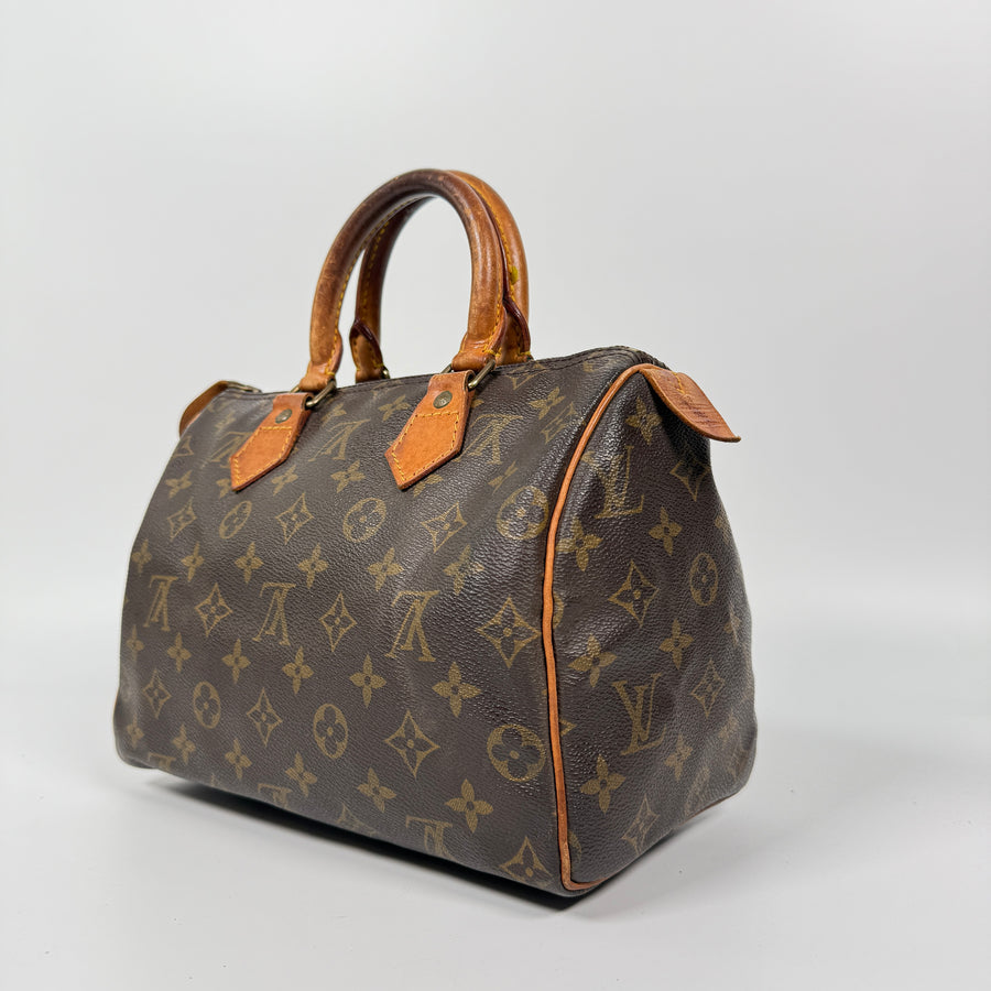 Louis Vuitton Speedy (25)