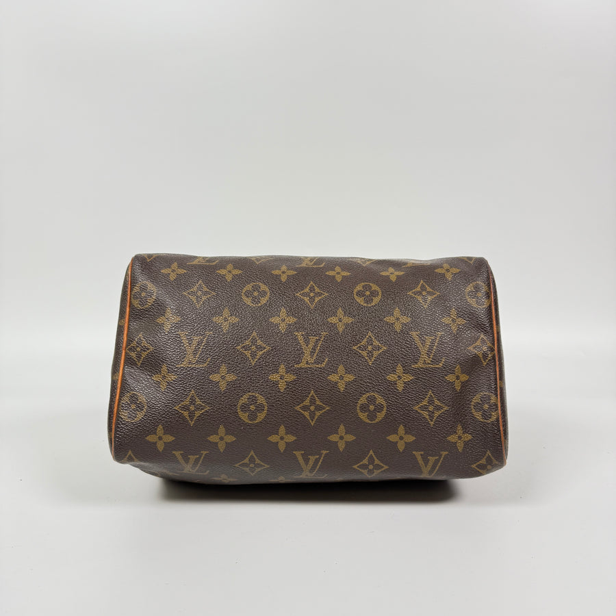 Louis Vuitton Speedy (25)