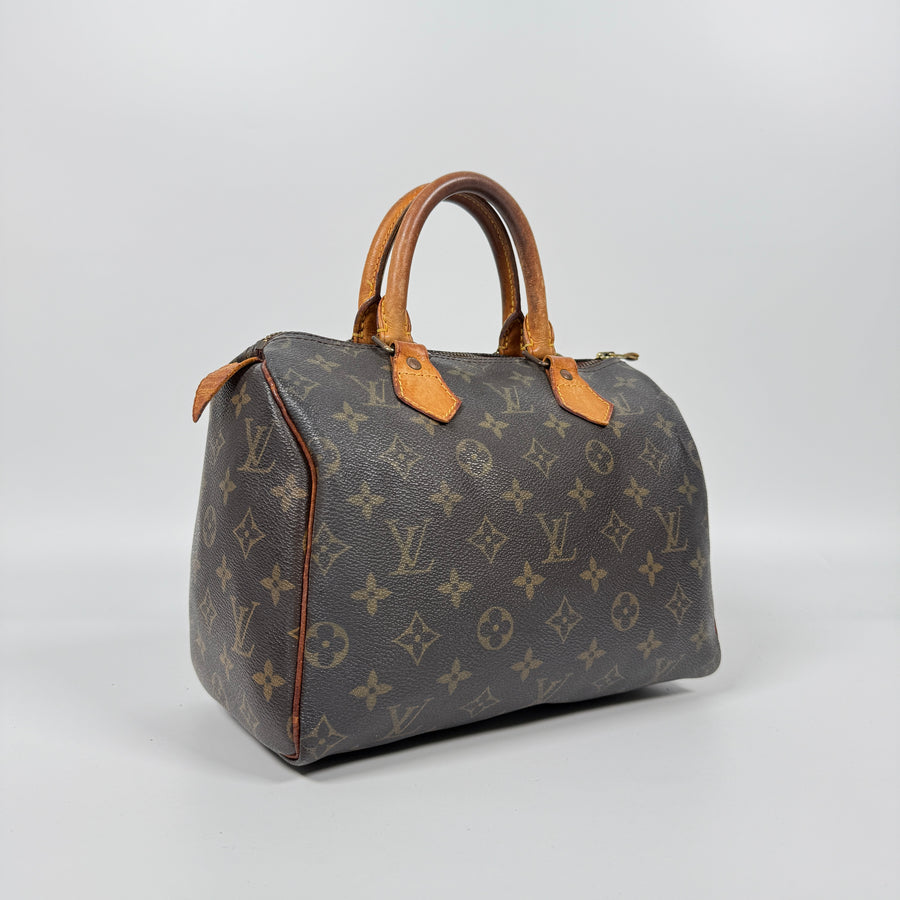 Louis Vuitton Speedy (25)