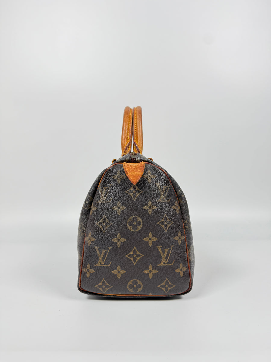 Louis Vuitton Speedy (25)