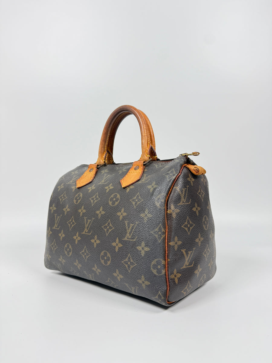 Louis Vuitton Speedy (25)