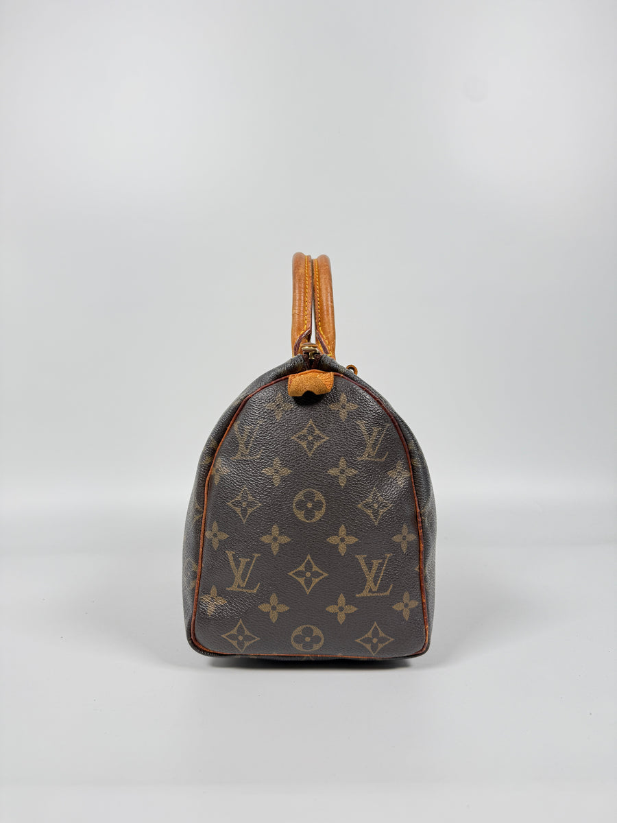 Louis Vuitton Speedy (25)