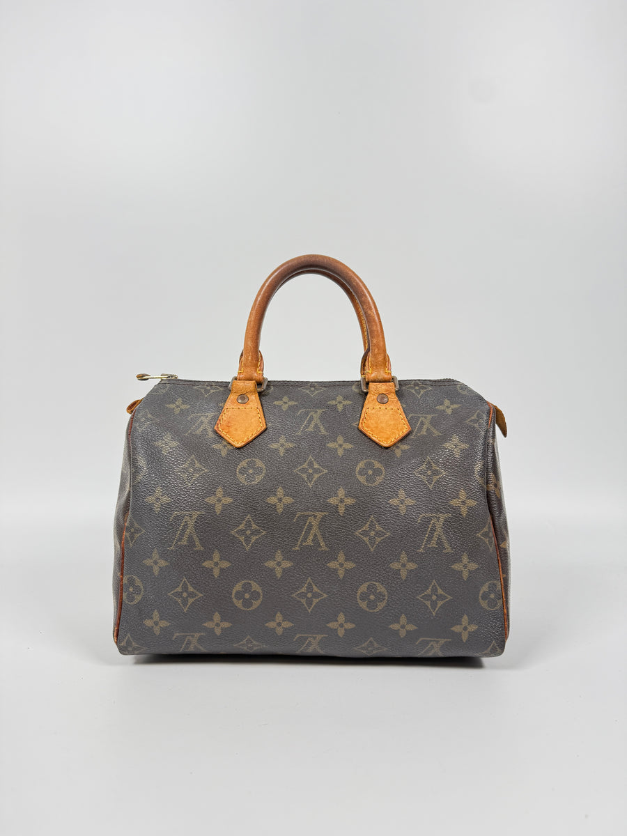Louis Vuitton Speedy (25)