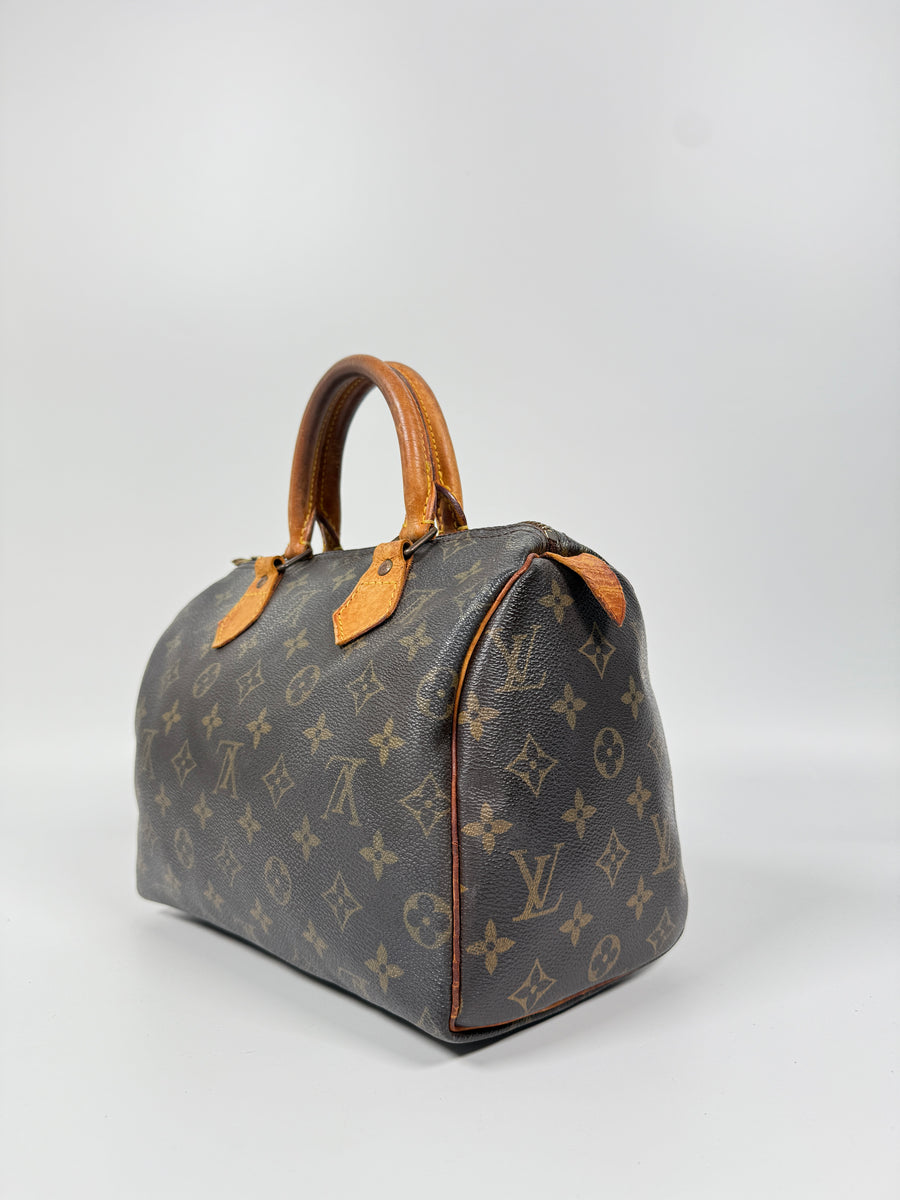 Louis Vuitton Speedy (25)