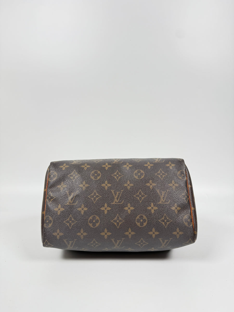 Louis Vuitton Speedy (25)