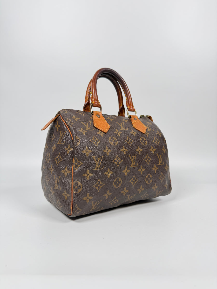Louis Vuitton Speedy (25)