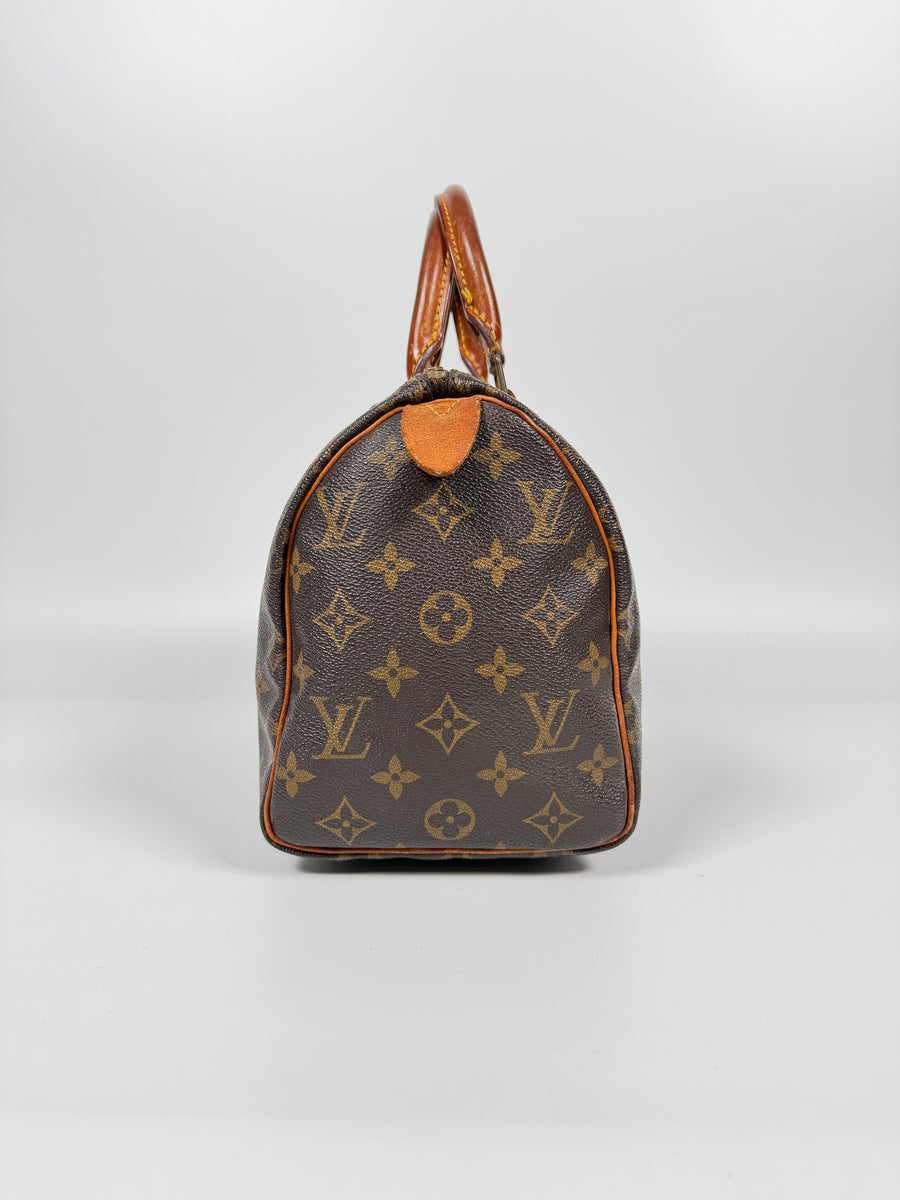 Louis Vuitton Speedy (25)