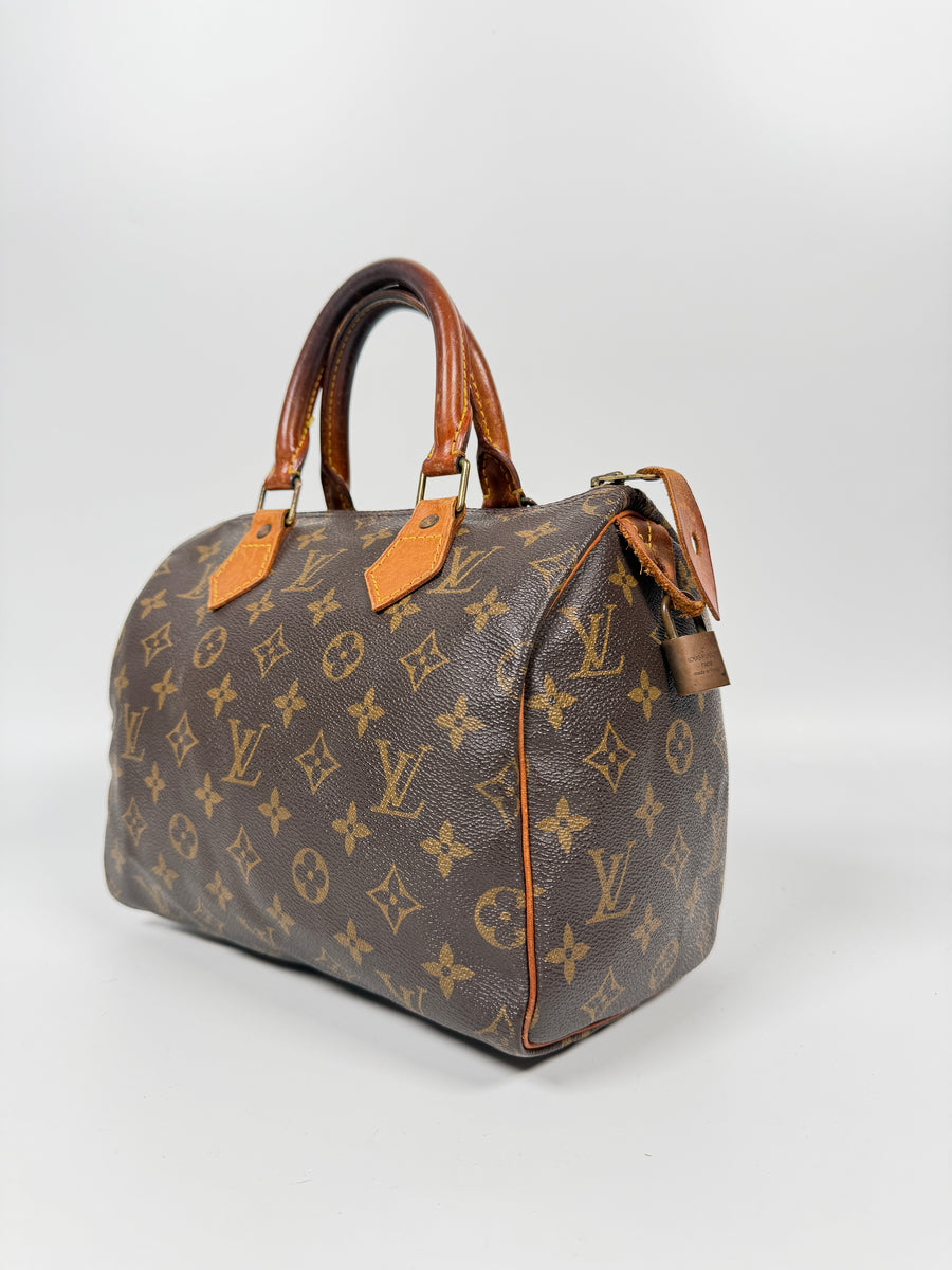 Louis Vuitton Speedy (25)