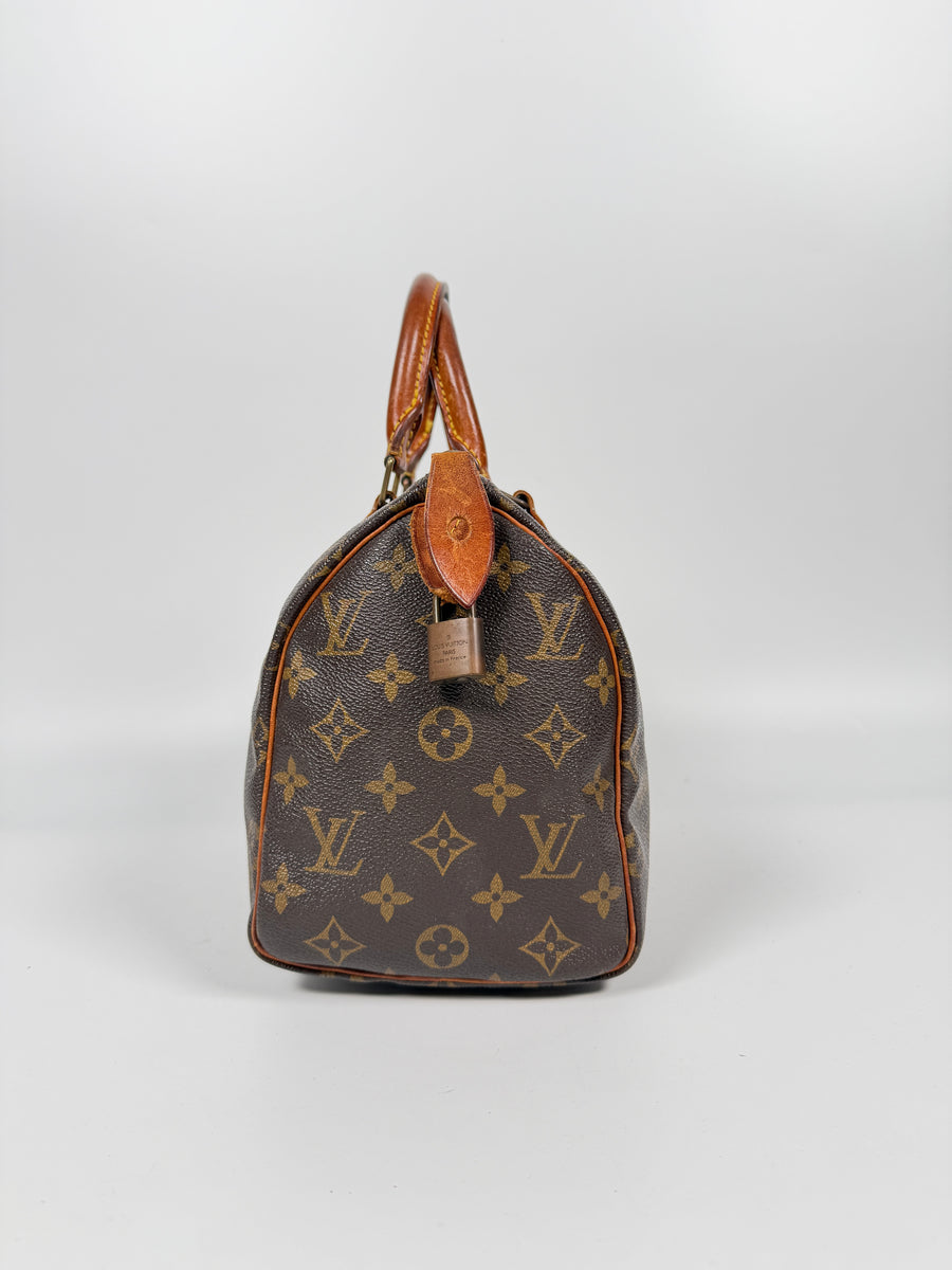 Louis Vuitton Speedy (25)