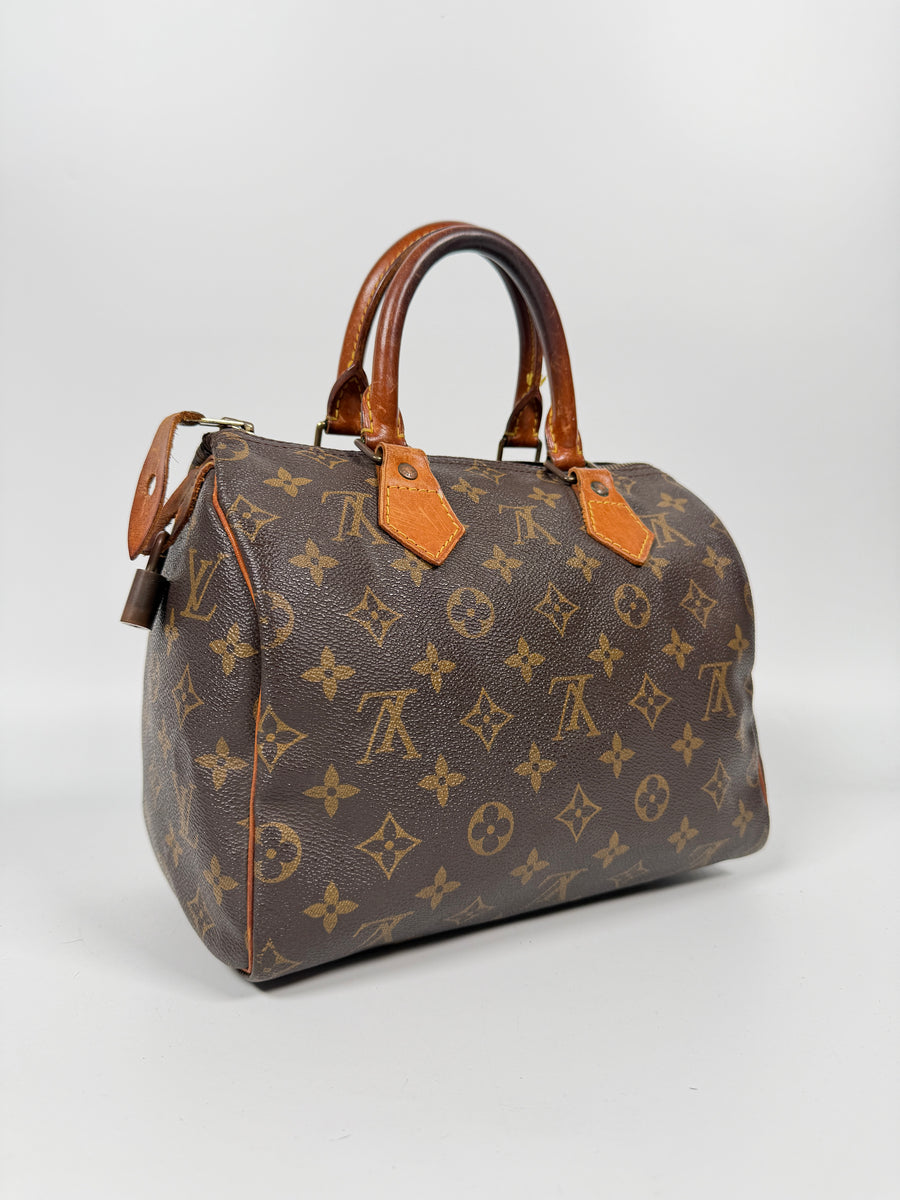 Louis Vuitton Speedy (25)