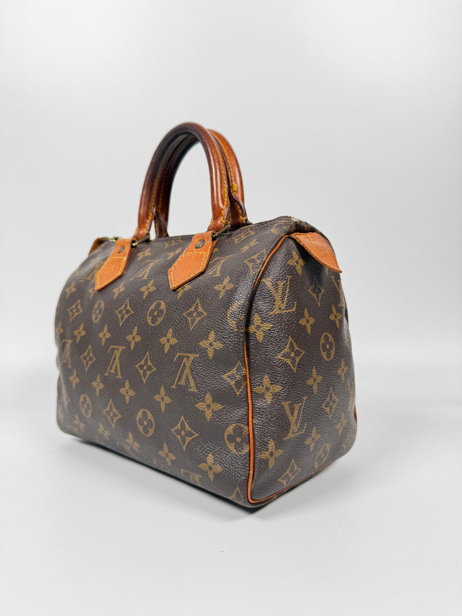 Louis Vuitton Speedy (25)