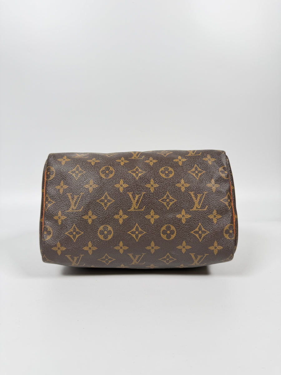 Louis Vuitton Speedy (25)