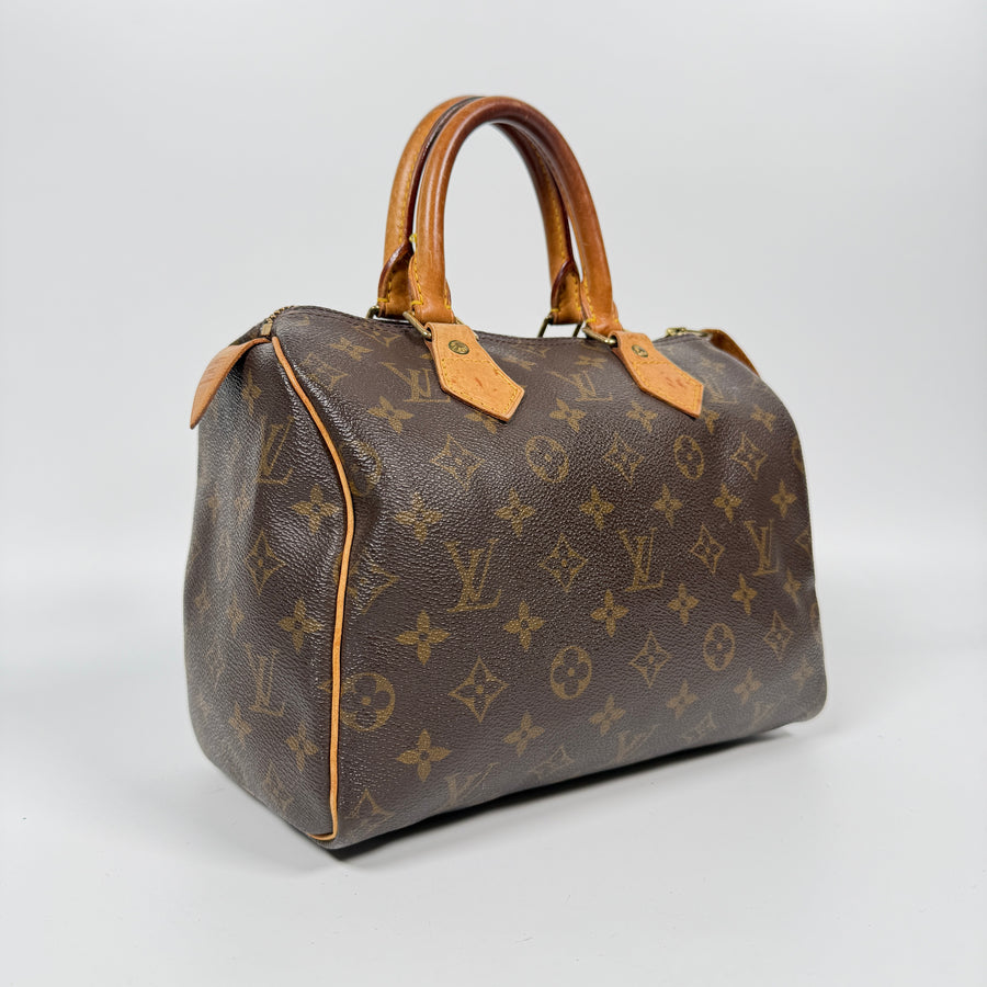 Louis Vuitton Speedy (25)