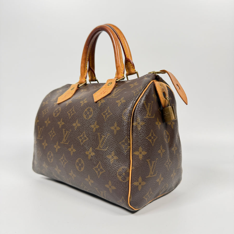 Louis Vuitton Speedy (25)