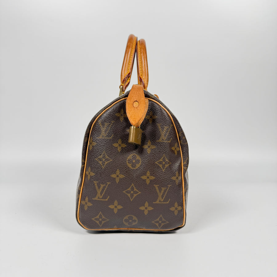 Louis Vuitton Speedy (25)